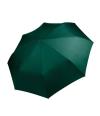 KI2010/KI005 Foldable Mini Umbrella Bottle Green colour image
